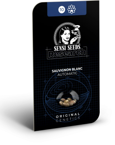 Sauvignon Blanc Auto - SENSI SEEDS