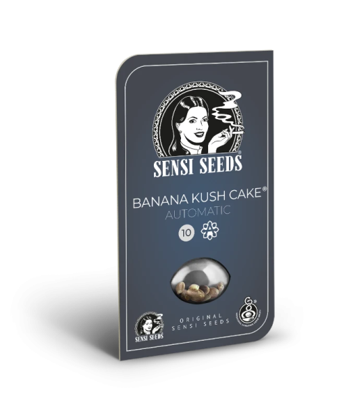 Banana Kush Cake Auto - SENSI SEEDS