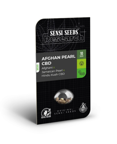 Afghan Pearl CBD Auto - SENSI SEEDS