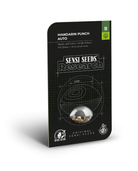 Mandarin Punch Auto - SENSI SEEDS