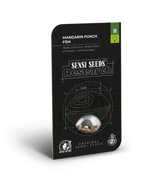 Mandarin Punch - SENSI SEEDS