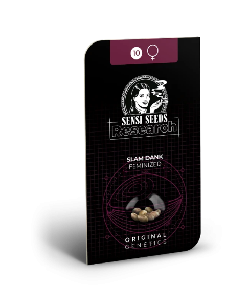 Slam Dank - SENSI SEEDS