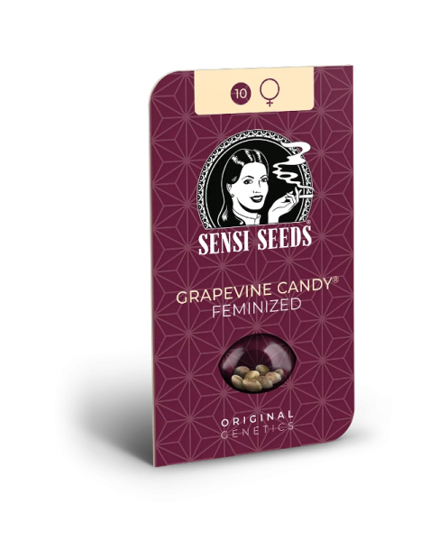 Grapevine Candy - SENSI SEEDS