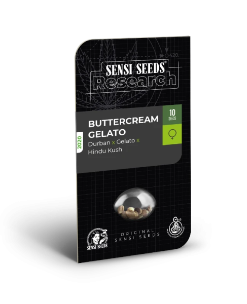 Buttercream Gelato - SENSI SEEDS