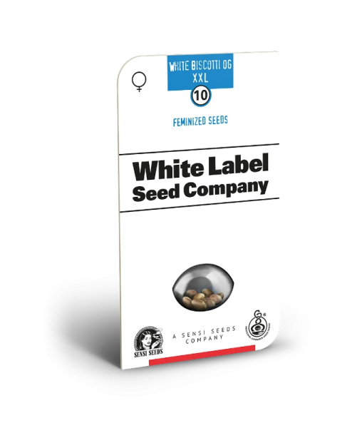 White Biscotti OG XXL - WHITE LABEL