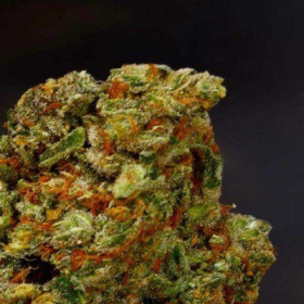 Lavender - SOMA SEEDS | TanieSianie.pl