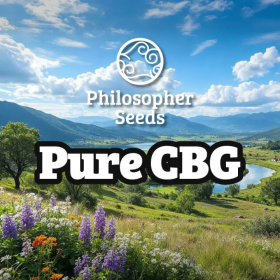 Pure CBG - PHILOSOPHER SEEDS
