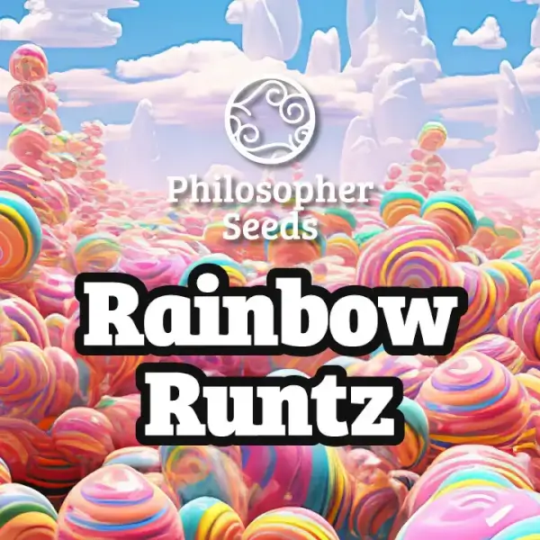 Rainbow Runtz - PHILOSOPHER SEEDS