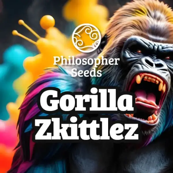 Gorilla Zkittlez - PHILOSOPHER SEEDS