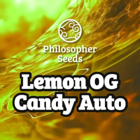 Lemon OG Candy Auto - PHILOSOPHER SEEDS