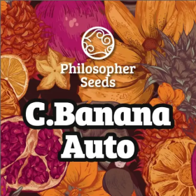 C.Banana Auto - PHILOSOPHER SEEDS