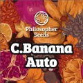 C.Banana Auto - PHILOSOPHER SEEDS
