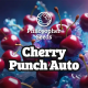 Cherry Punch Auto - PHILOSOPHER SEEDS