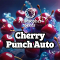 Cherry Punch Auto - PHILOSOPHER SEEDS