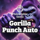 Gorilla Punch Auto - PHILOSOPHER SEEDS