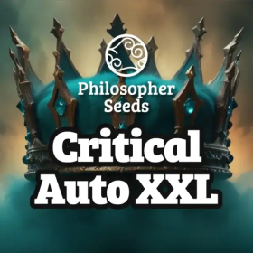 Critical Auto XXL - PHILOSOPHER SEEDS