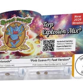 Terp Explosion Mix - SWEET SEEDS