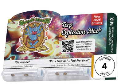 Terp Explosion Mix - SWEET SEEDS