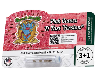 Pink Guava F1 Fast Version - SWEET SEEDS