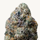 Gary Sherbet - FASTBUDS
