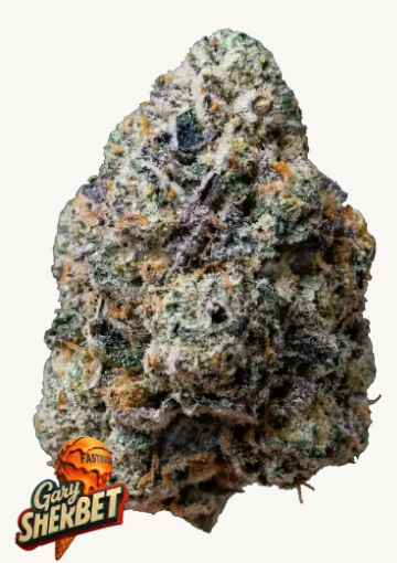 Gary Sherbet - FASTBUDS