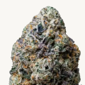 Gary Sherbet - FASTBUDS