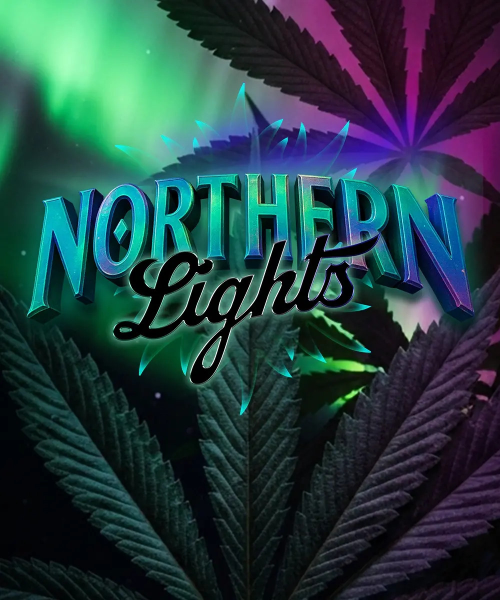 Northern Lights - BARNEY'S FARM