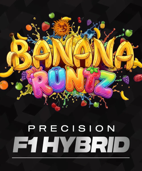 Banana Runtz - BARNEY'S FARM