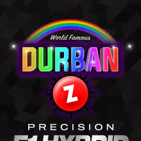 Durban Z - BARNEY'S FARM