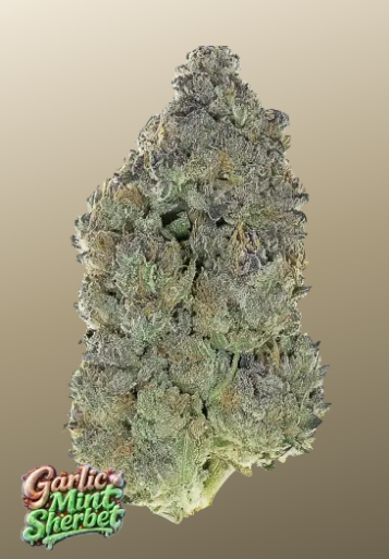 Garlic Mint Sherbet - FASTBUDS
