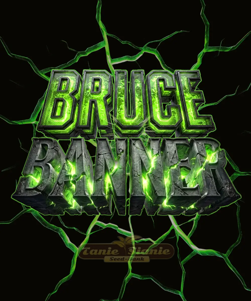 Bruce Banner Auto - BARNEY'S FARM
