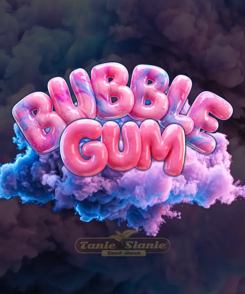 Bubblegum Auto - BARNEY'S FARM