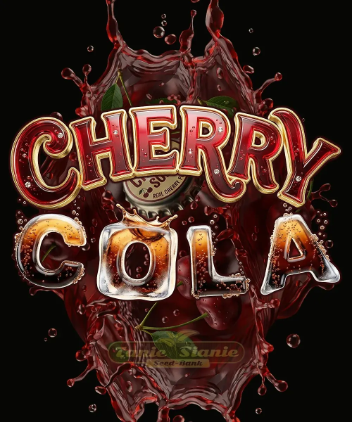 Cherry Cola Auto - BARNEY'S FARM