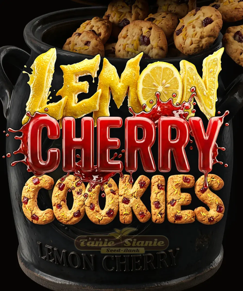 Lemon Cherry Cookies Auto - BARNEY'S FARM