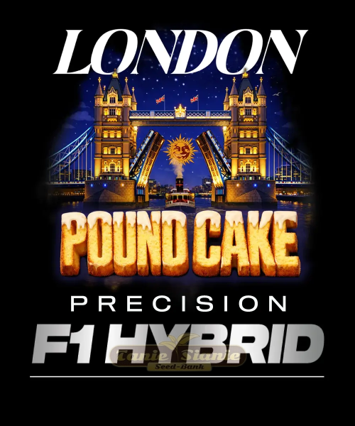 London Pound Cake Auto - BARNEY'S FARM