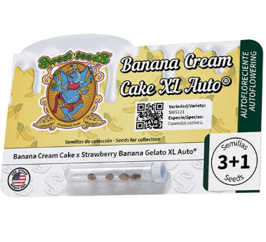 Banana Cream Cake XL Auto - SWEET SEEDS
