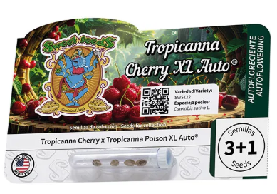 Tropicanna Cherry XL Auto - SWEET SEEDS