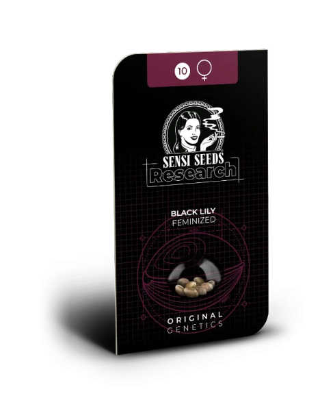 Black Lily - SENSI SEEDS