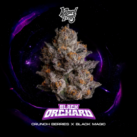 Black Orchard - Wizard Trees