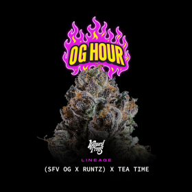OG Hour - Wizard Trees