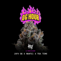 OG Hour - Wizard Trees