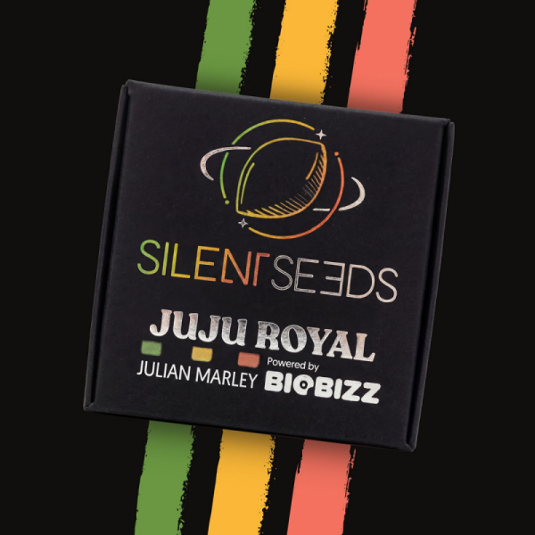 Jamaican Mountain by Julian Marley - SILENT SEEDS