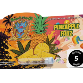 Pineapple Fruz - SWEET SEEDS