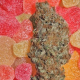 Fruitylicious - MANDALA SEEDS | TanieSianie.pl