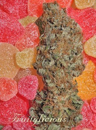 Fruitylicious - MANDALA SEEDS | TanieSianie.pl