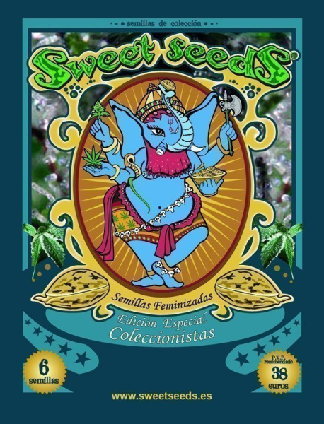 Collector #1 - SWEET SEEDS | TanieSianie.pl