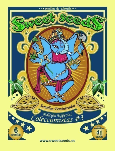 Collector #3 - SWEET SEEDS | TanieSianie.pl