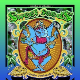 Collector #4 - SWEET SEEDS | TanieSianie.pl