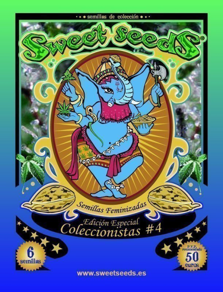 Collector #4 - SWEET SEEDS | TanieSianie.pl