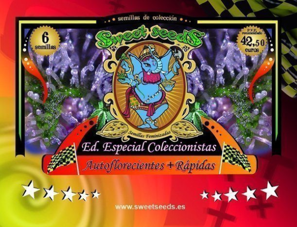 Autoflowering Collector + Rapida's Edition - SWEET SEEDS | TanieSianie.pl